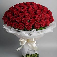Букет 101 Красная роза Блэк Мэджик #REPLACE_PRED# Виноградном