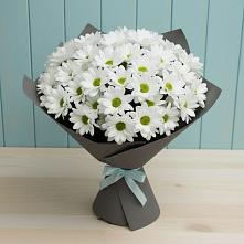 Букет цветов из:  Хризантемы #REPLACE_PRED# Виноградном