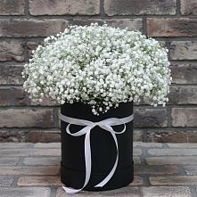 Цветочная композиция из Гипсофила в шляпной коробке #REPLACE_PRED# Виноградном